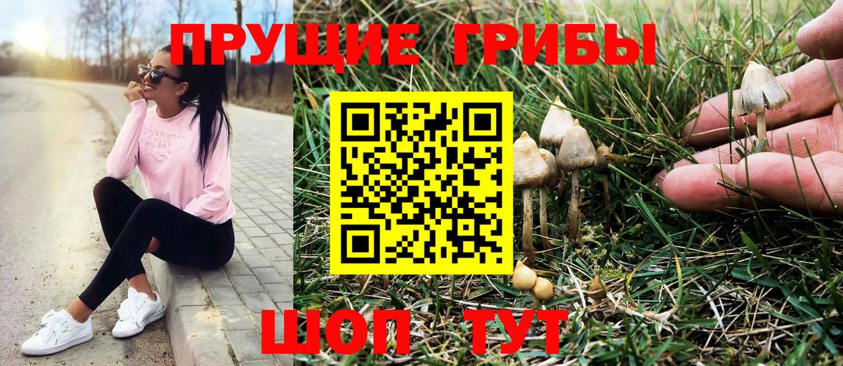 Галлюциногенные грибы GOLDEN TEACHER  Вход с VPN  Нижний Новгород  Галлюциногенные грибы Magic Shrooms 