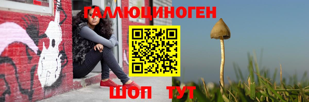 Псилоцибиновые грибы мицелий Нижний Новгород